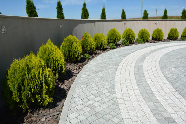 Best Paver Driveway Replacement  in Harvest, AL